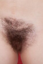 WeAreHairy Free Roxette Thumbnail #5